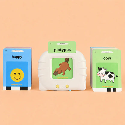 Baby First Flash Card Fun