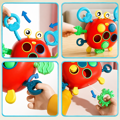 Push Pop Activity Sensory Toys