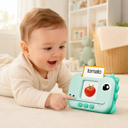 Dinosaur Baby Learning Flashcard Toy