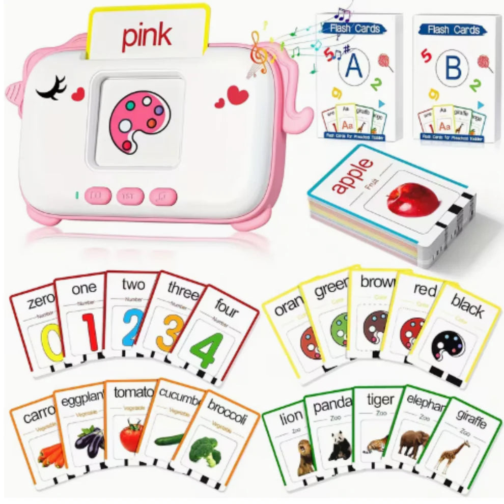 Dinosaur Baby Learning Flashcard Toy