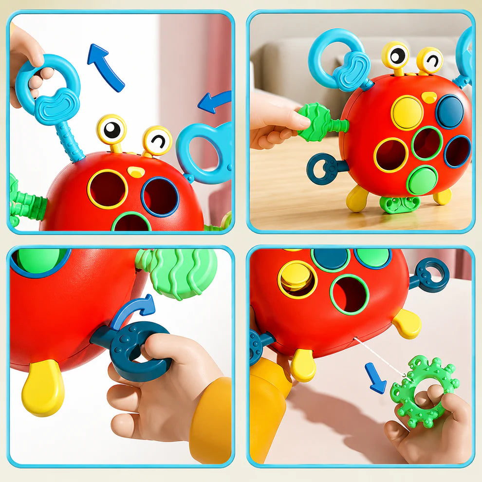 Push Pop Activity Sensory Toys
